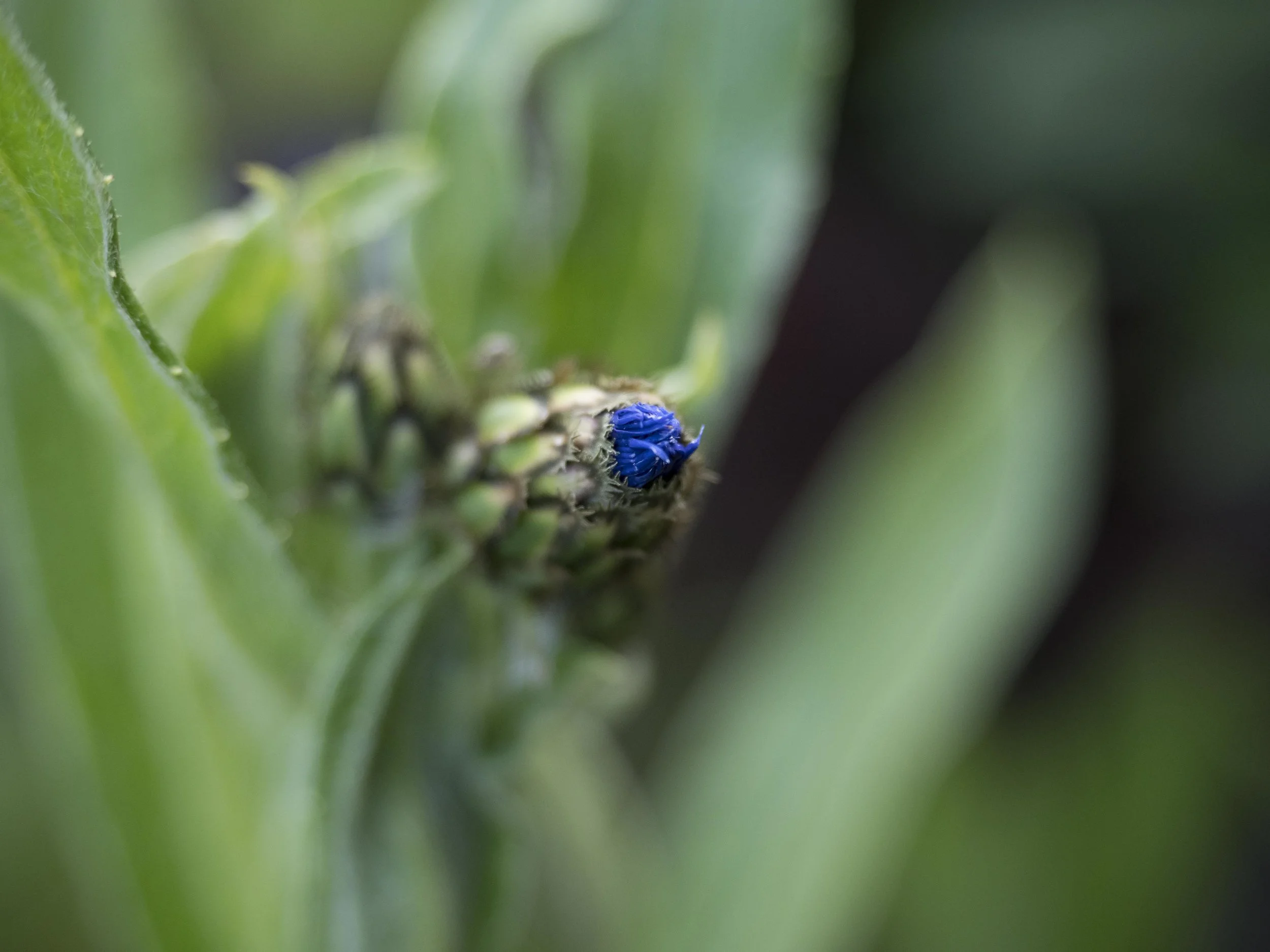 untitled-1120140.jpg