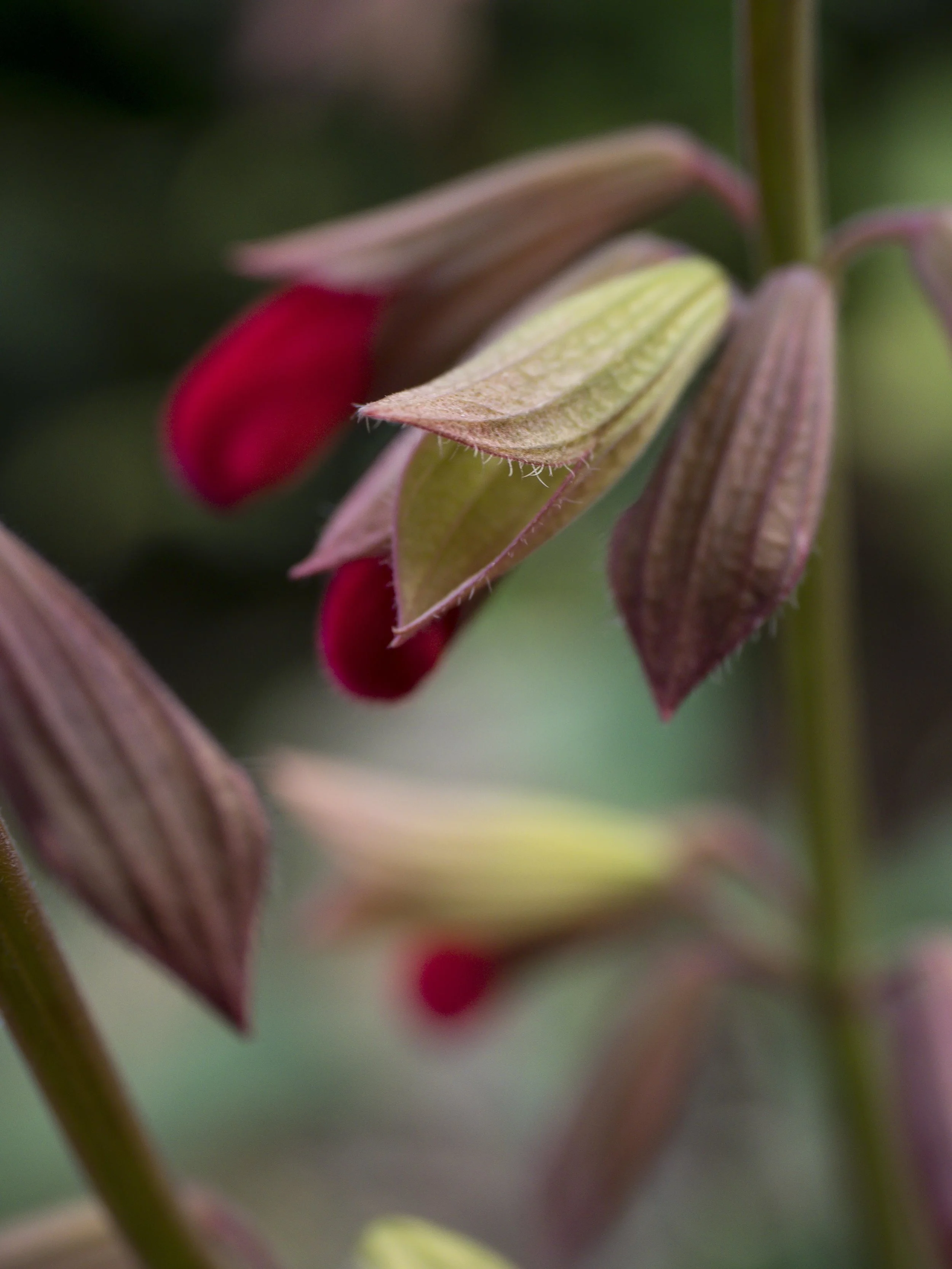 untitled-1120152.jpg