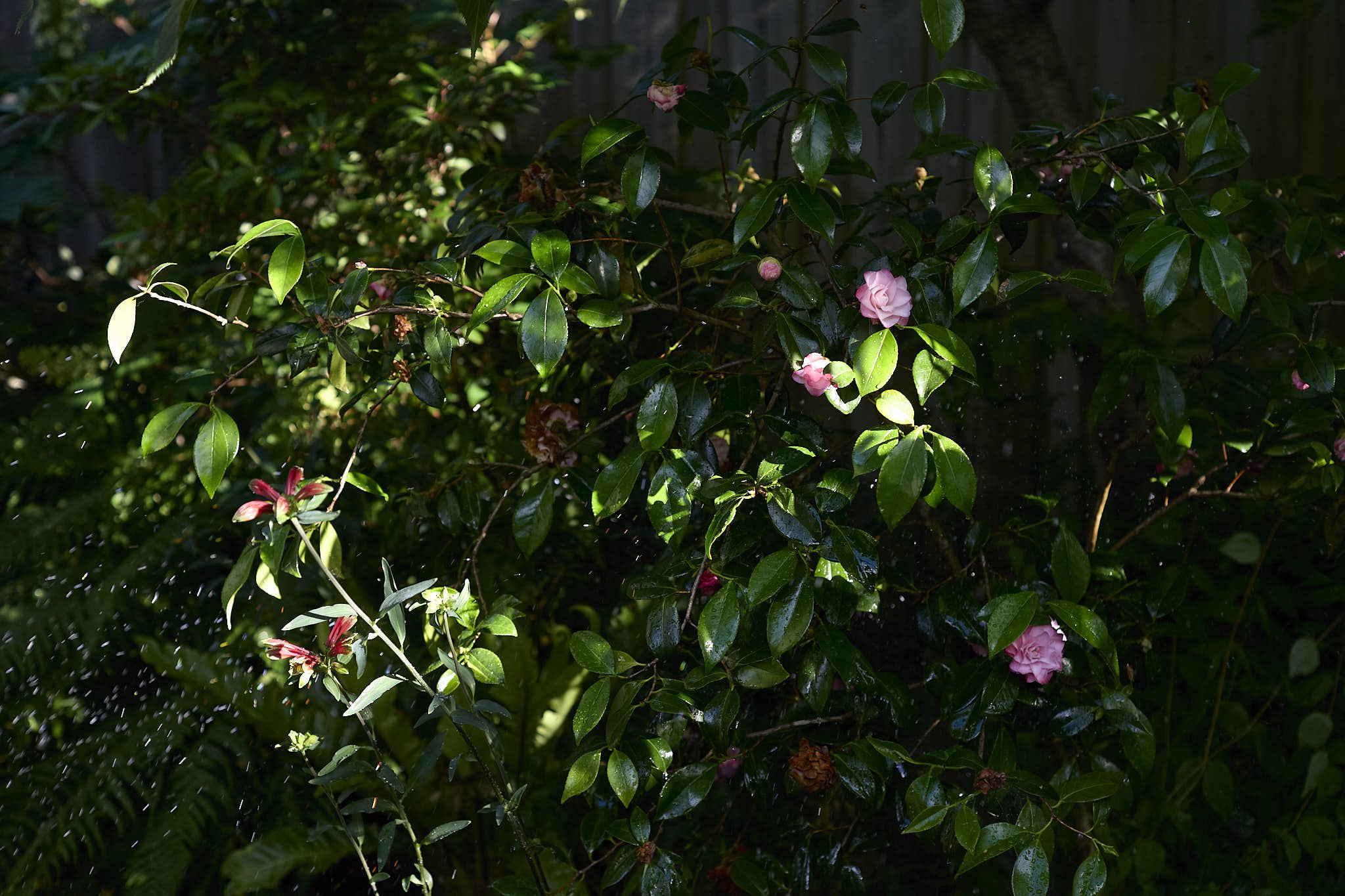 art 2.jpg