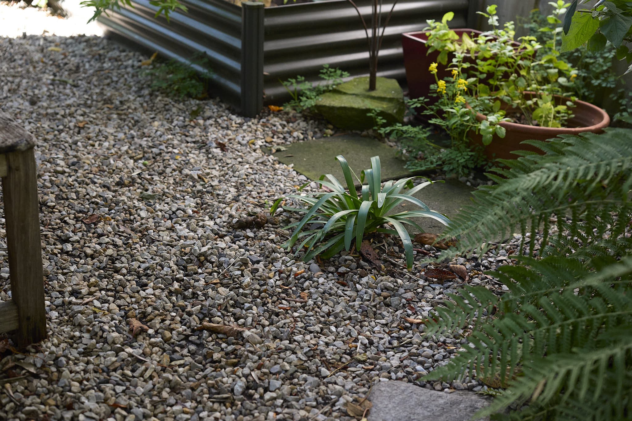 _B test s50 f3.5.jpg