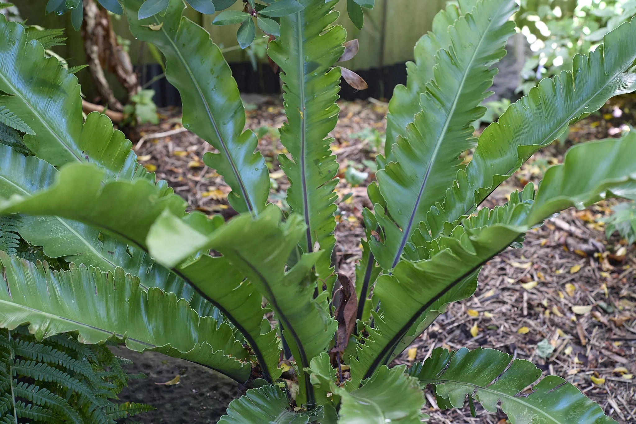 _B test 50 T6.7 1.jpg