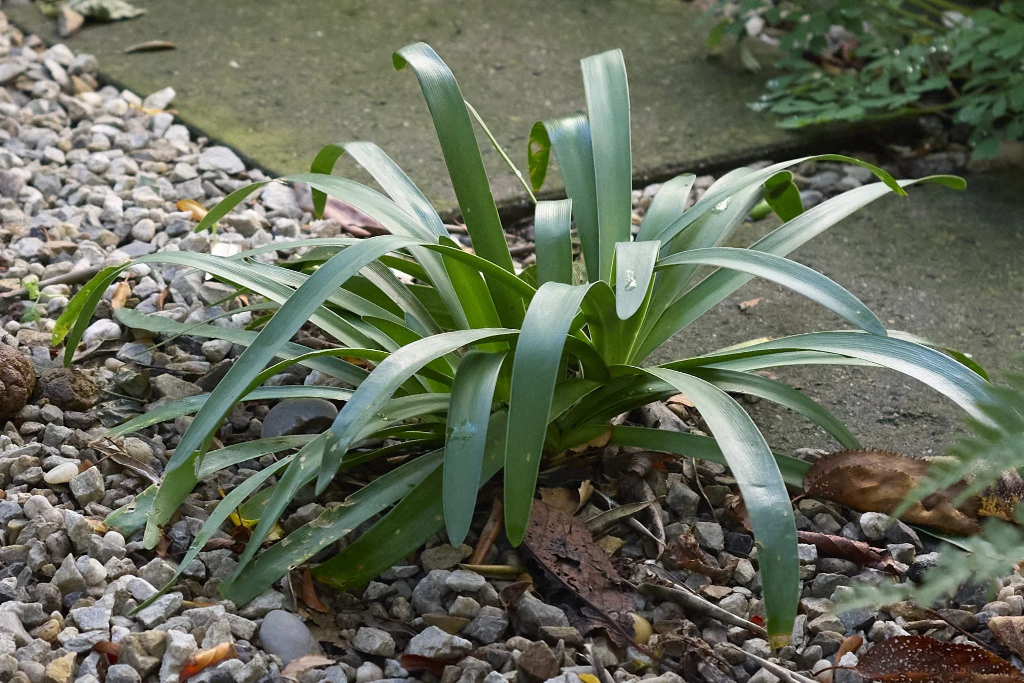 _B test 50 T4 tight.jpg