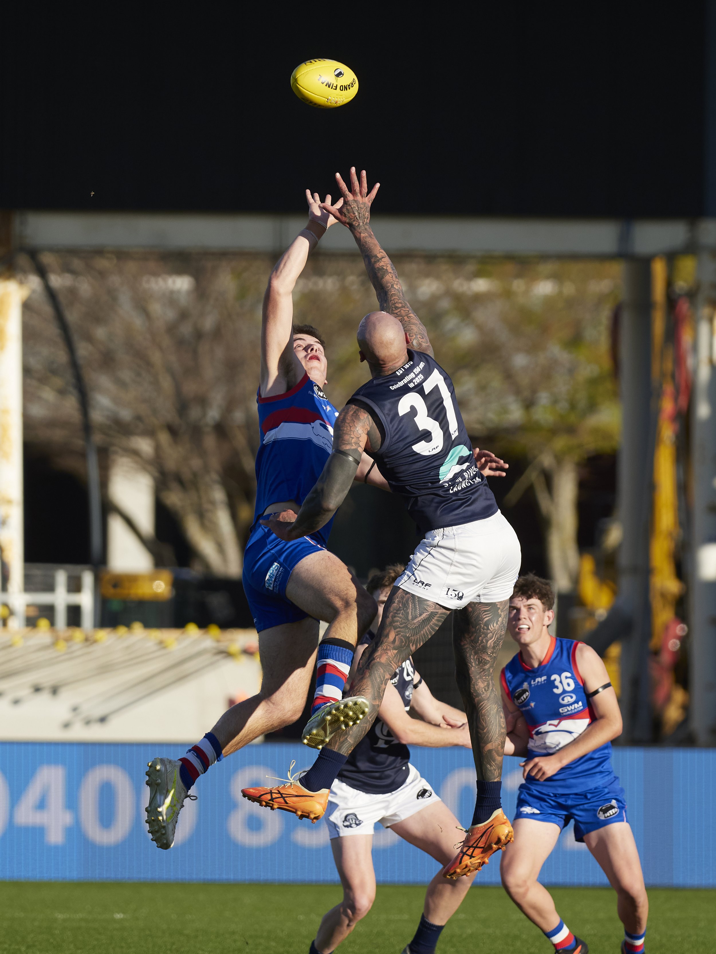 AFL Finals mens 43.jpg