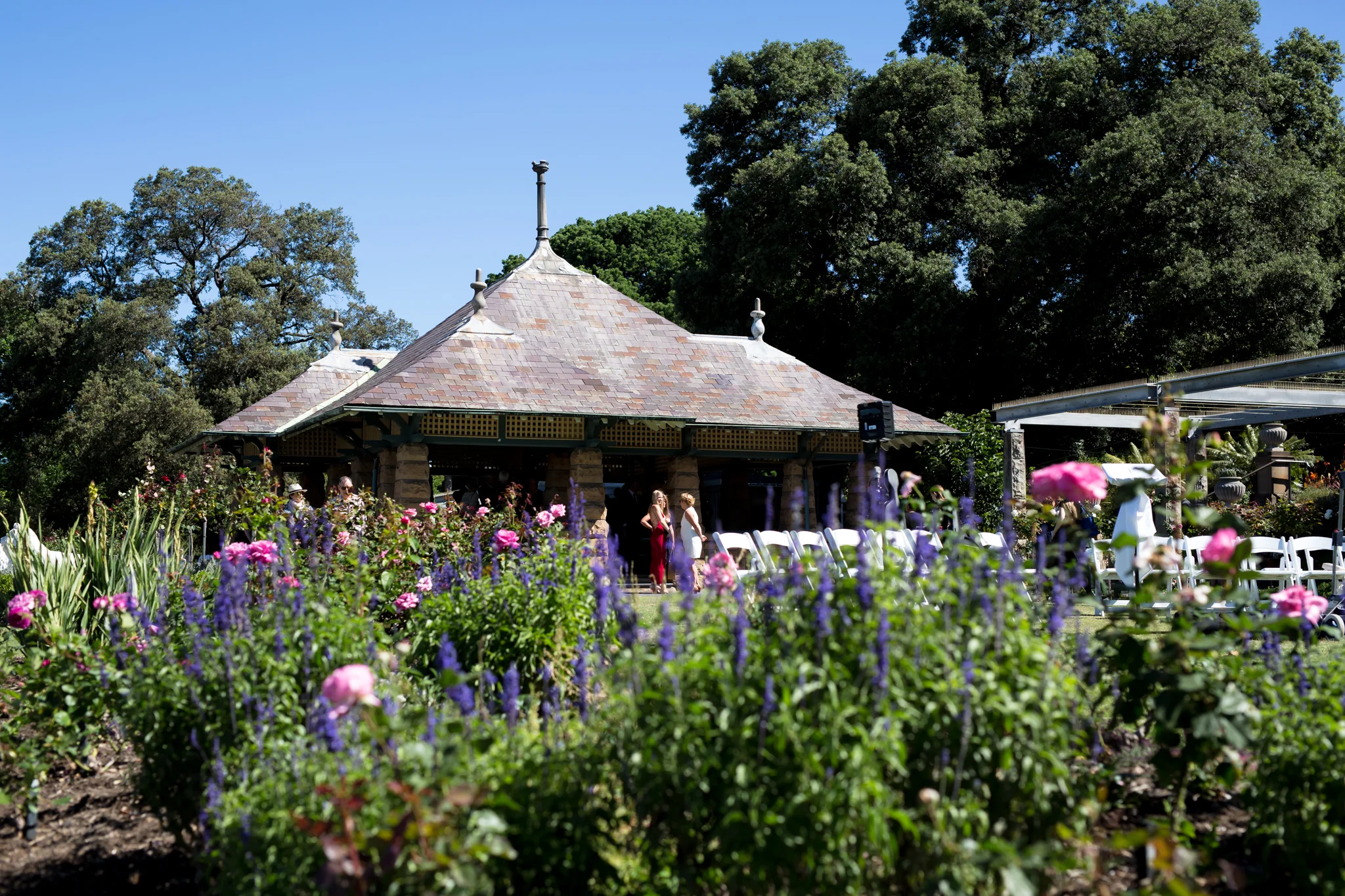 RoyalBotanicalGardens-52.jpg