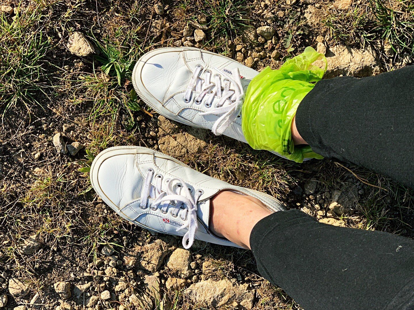 Wayback Wednesday // I didn't know what the plant was when I stepped into the greens to toss the quilt over the wall for the perfect shot&mdash;then quickly discovered what stinging nettle is! I wrapped plastic bags around my ankles so I could contin