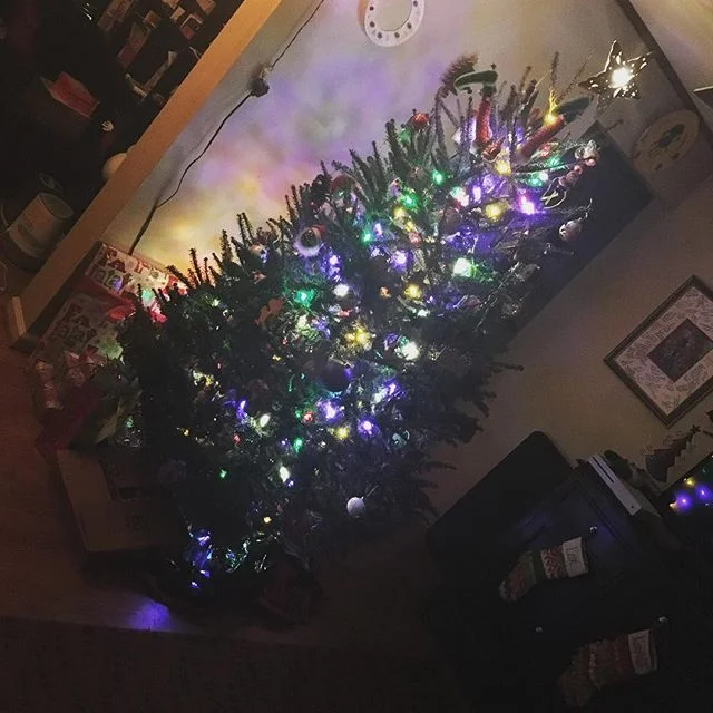 This is the best angle anyway 😉 #merrychristmas #christmastree #brightlights #merryandbright #finallyitschristmas