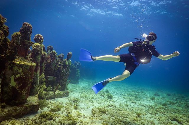 A couple of weeks ago, @katiezoppo and I took a quick vacation to Cancun where I got to try SCUBA for the first time.  What an incredible experience to swim alongside sea turtles and fish and a coral reef.  I certainly want to get PADI certified now.