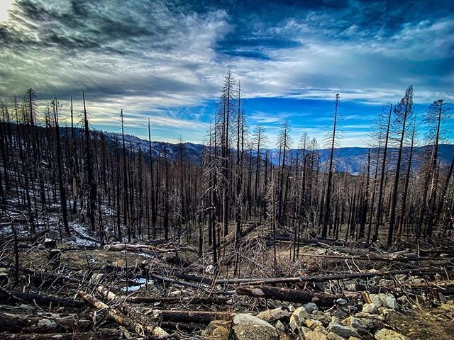 There are magical places on this planet and I feel so lucky to catch a glimpse. #yosemite #nationalparkservice #nps #findyourpark #iphone11 #lightroommobile