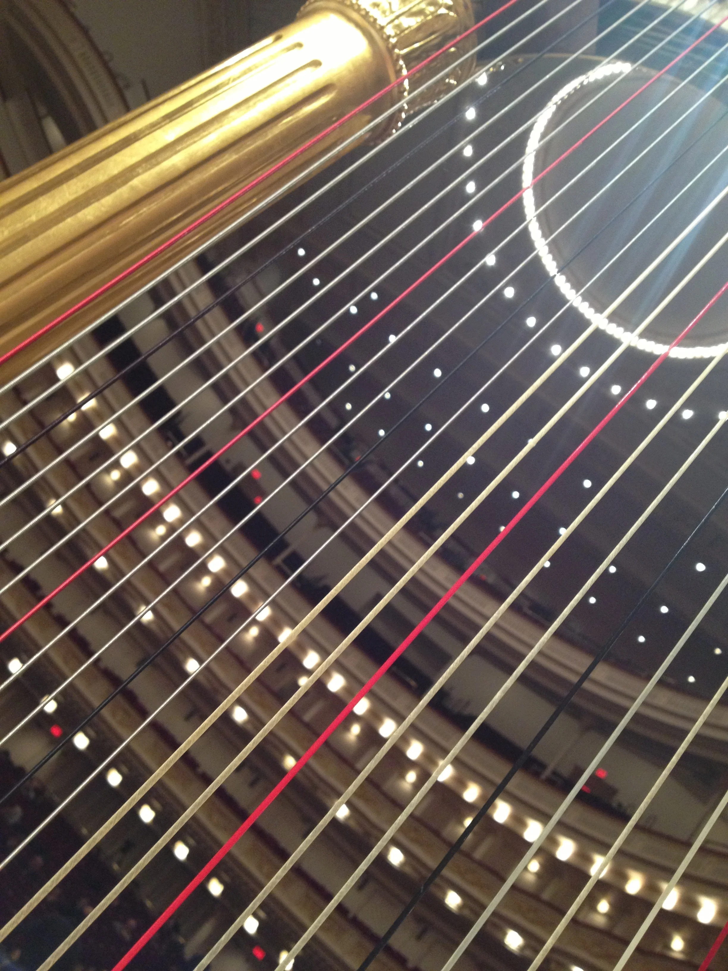 Harp strings - there are 47 of them!