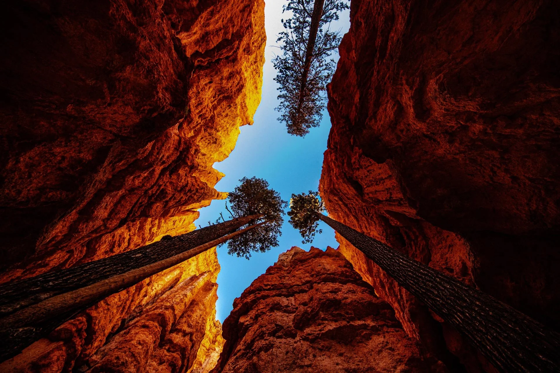 7Z9A5416-Edit copyIG_4.jpg