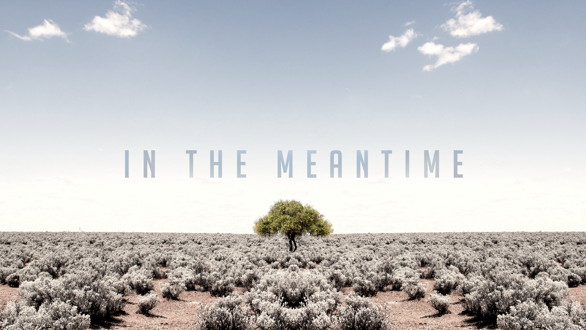In-The-MeantimeIn-The-Meantime---Message-Graphic copy.png