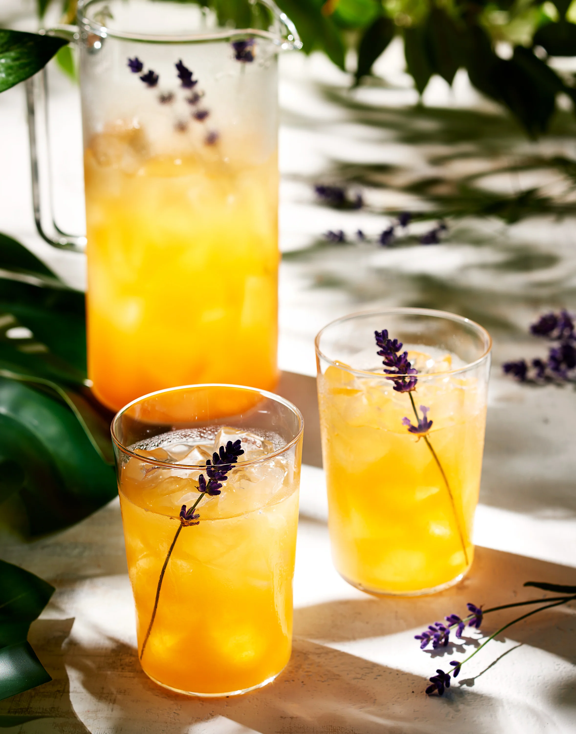 Lavender.jpg
