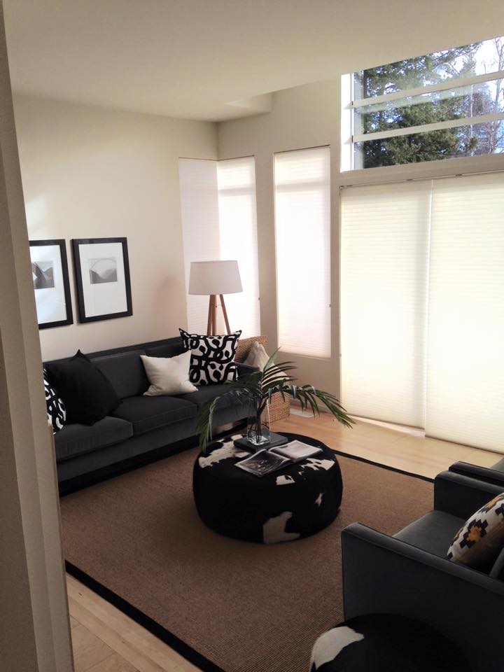 Mt. Baker home living room.