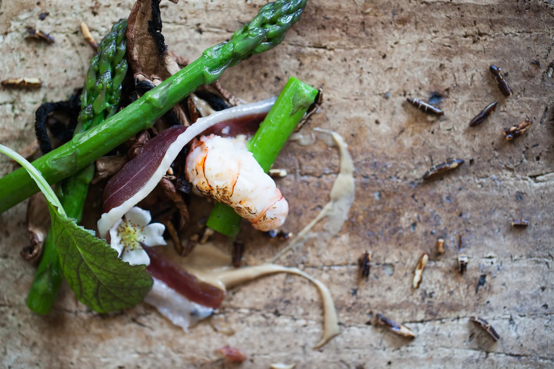 Review - Viva Magazine