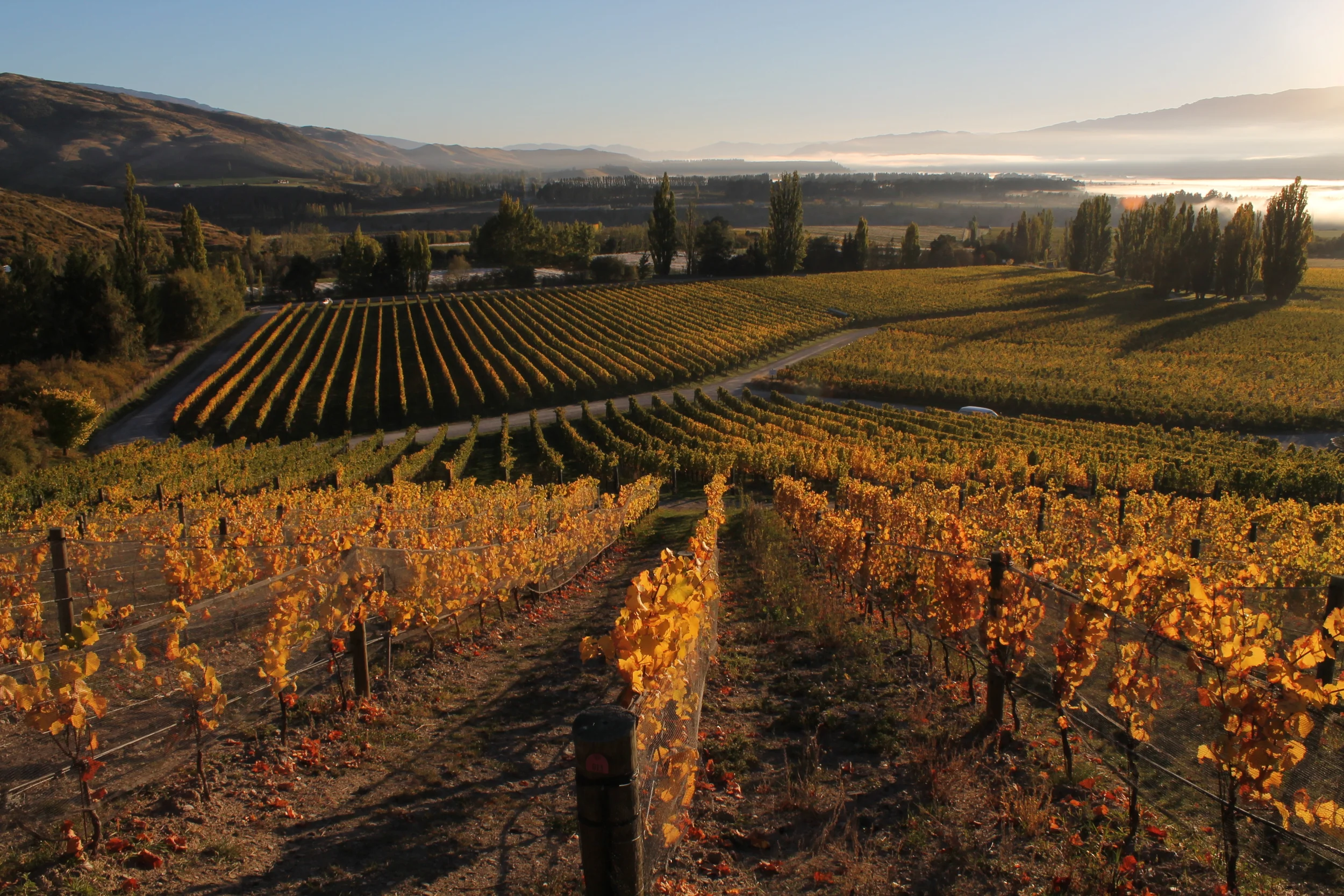 Felton Road Winemakers Dinner | SOLD OUT