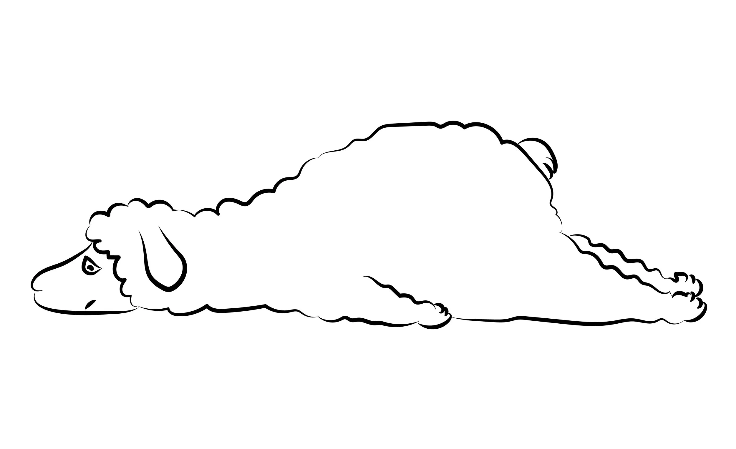 Sheep.jpg
