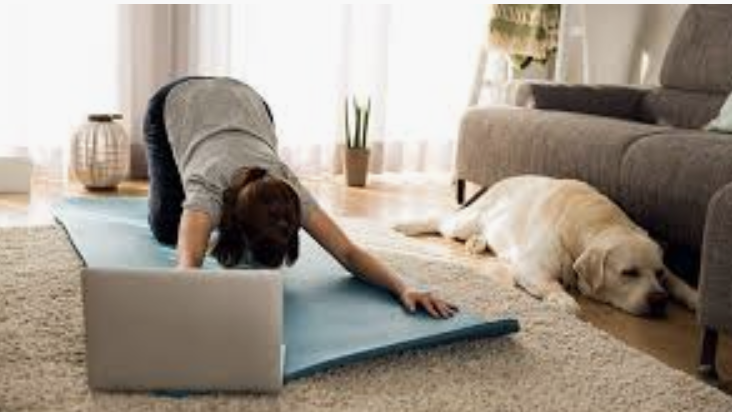 Live Streaming Classes At Dogwood Studio Start Sunday March 15th Dogwood Studio