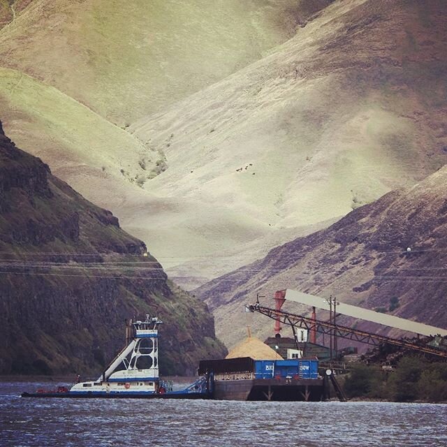 Kathryn B. #tugboat #barge #bernertbargelines #washington 
Photo Cred: Blake