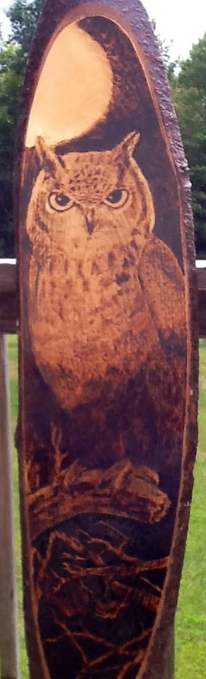 my thirsty owl (2013)