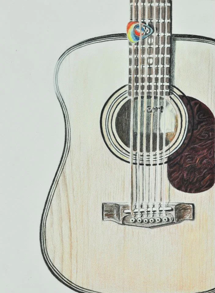 playing in the band (2012)