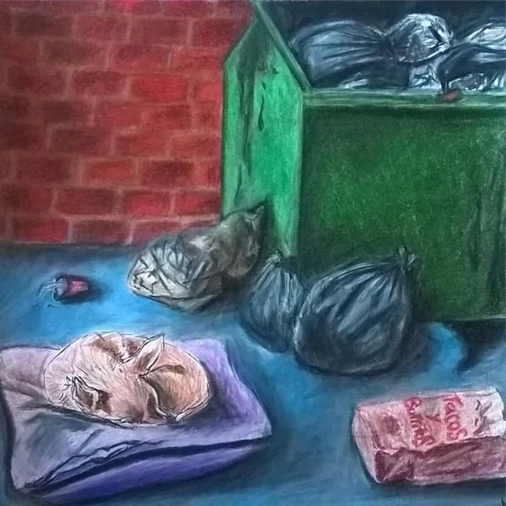 Emma- from the school of hard knocks (2016)