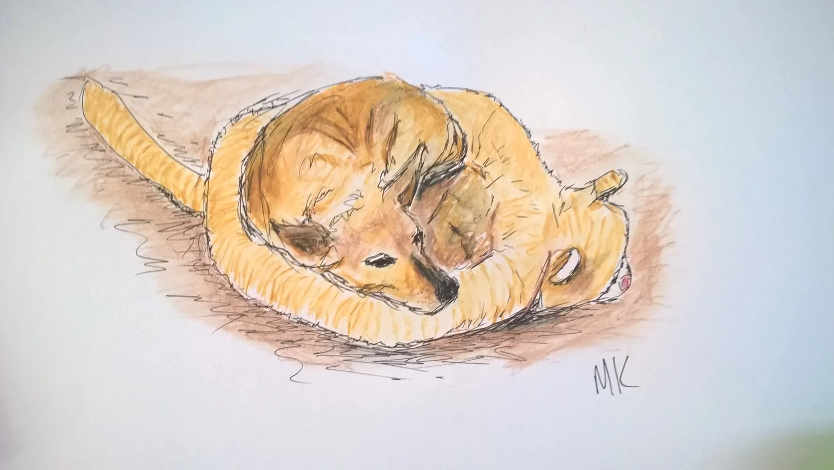 Emma in the kitty bed (2016)