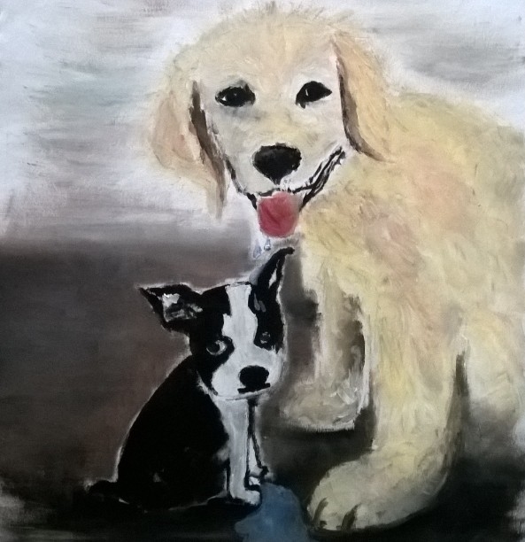 Boston terrier-it's what's for dinner (2015)