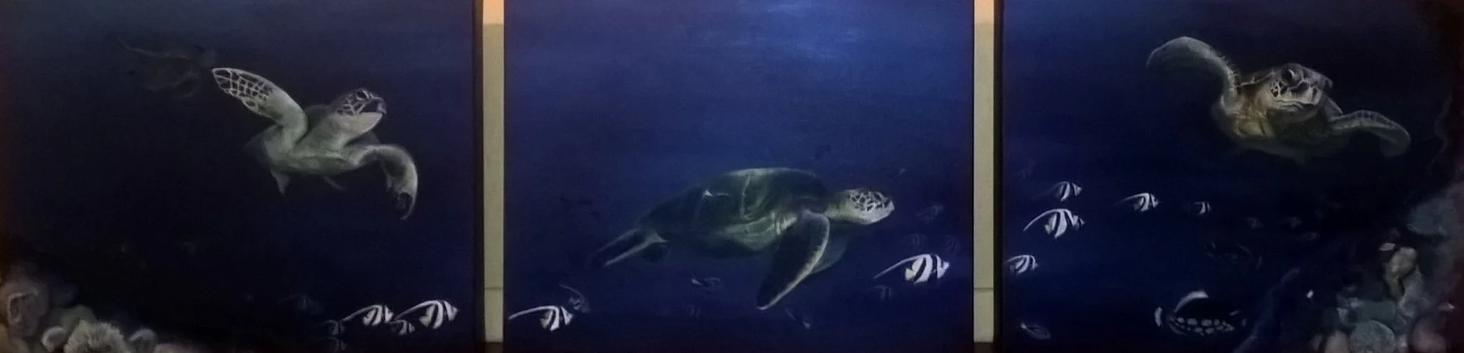 turtle triptych (2016)