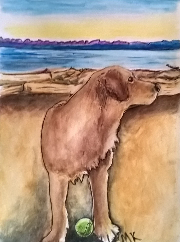 Ellie at the beach (2017)