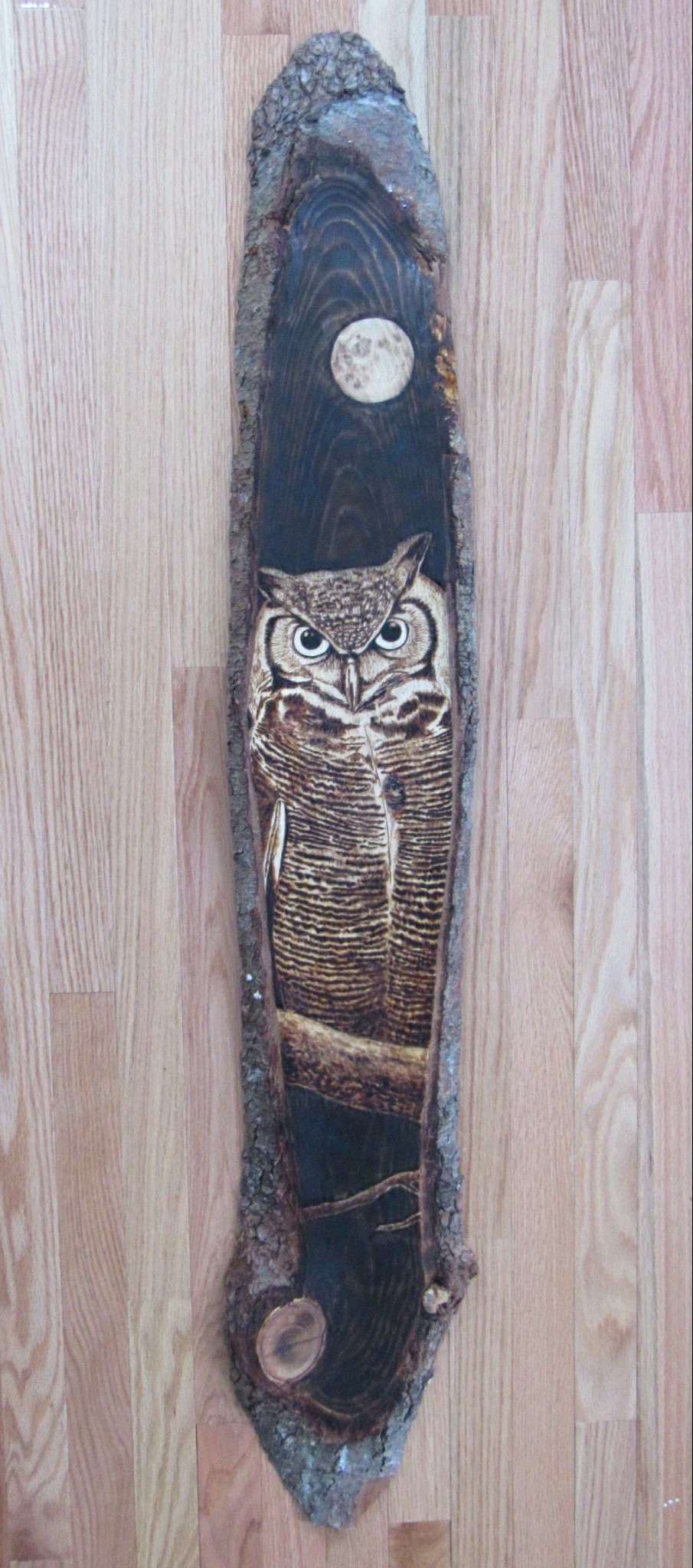 my thirsty owl -the sequel (2018)