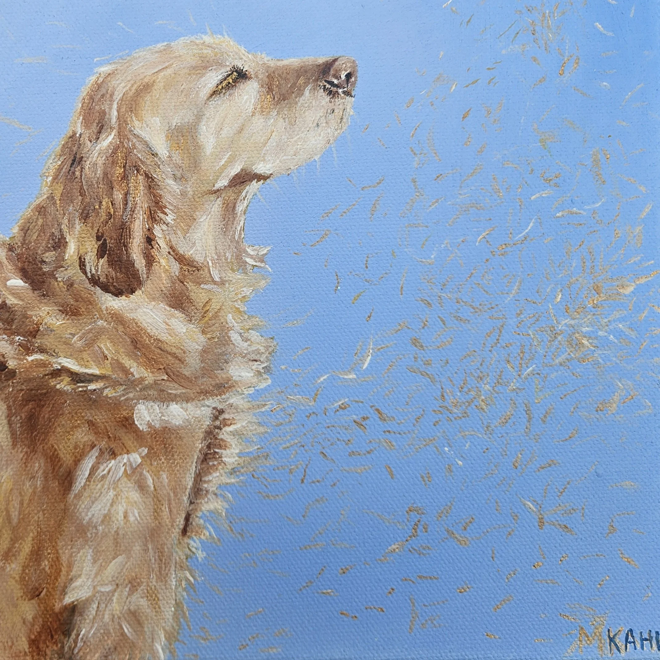 Dog Hair in the Wind