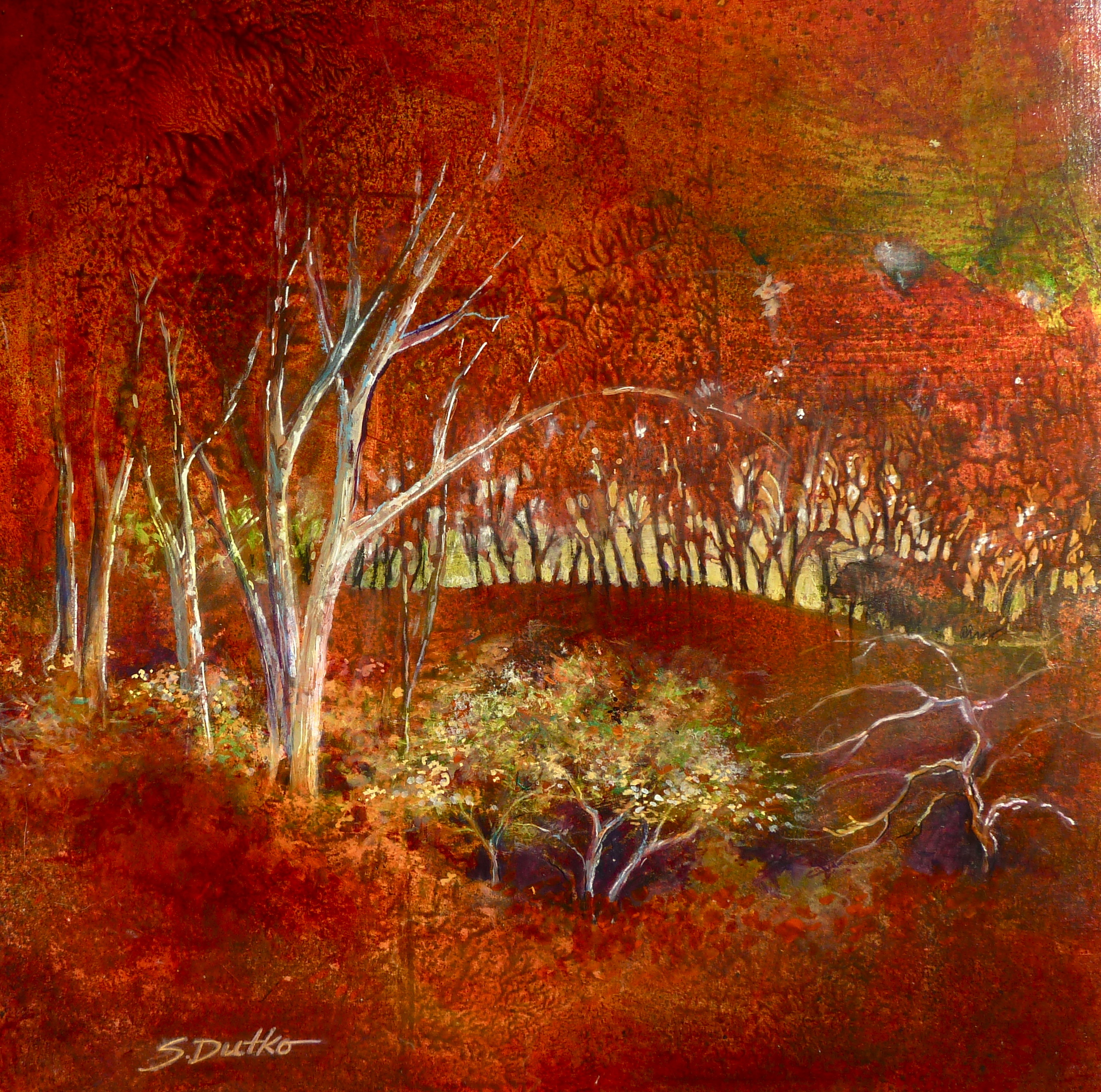 Red Canopy