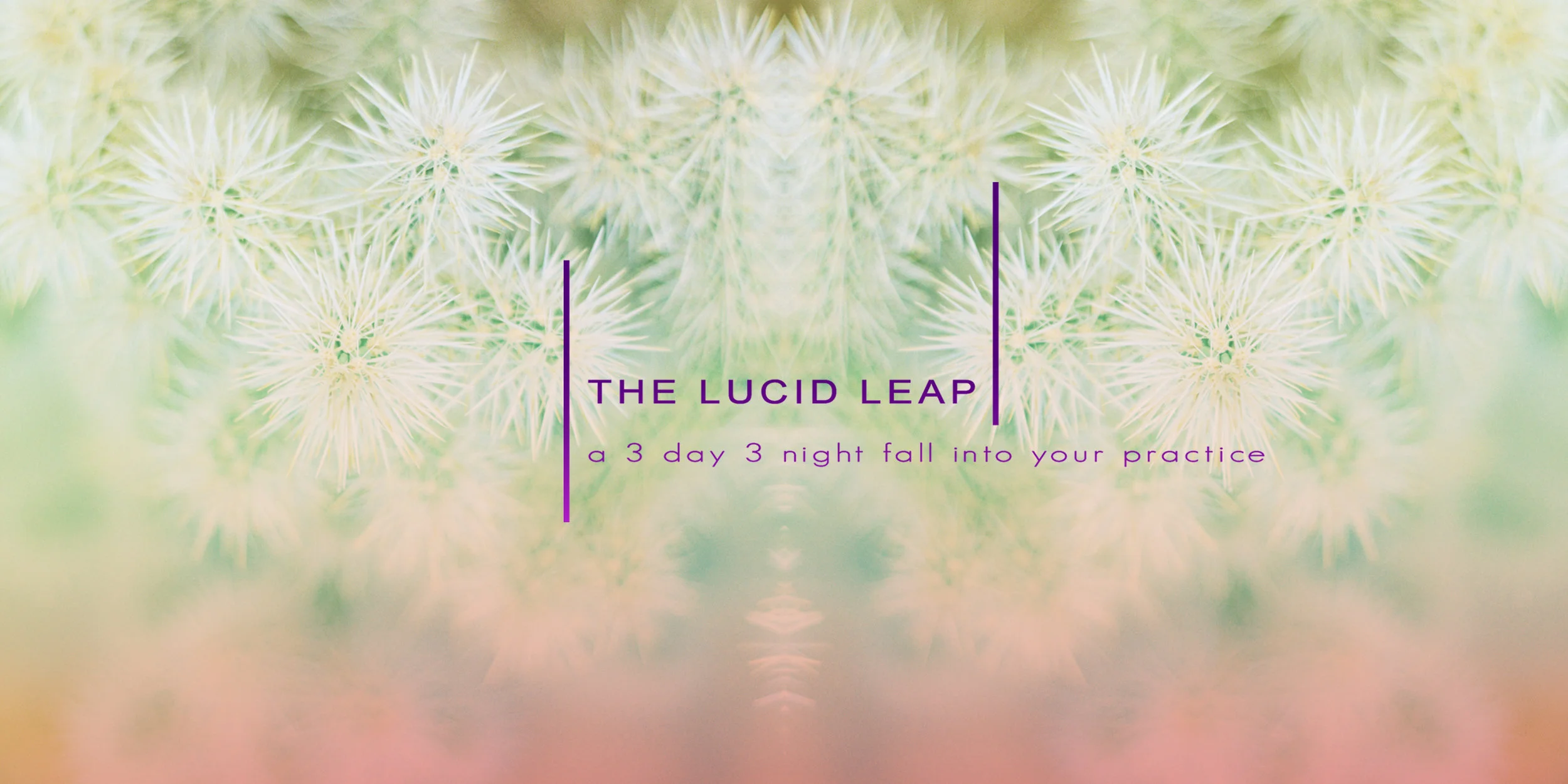 thelucidleapbanner.jpg