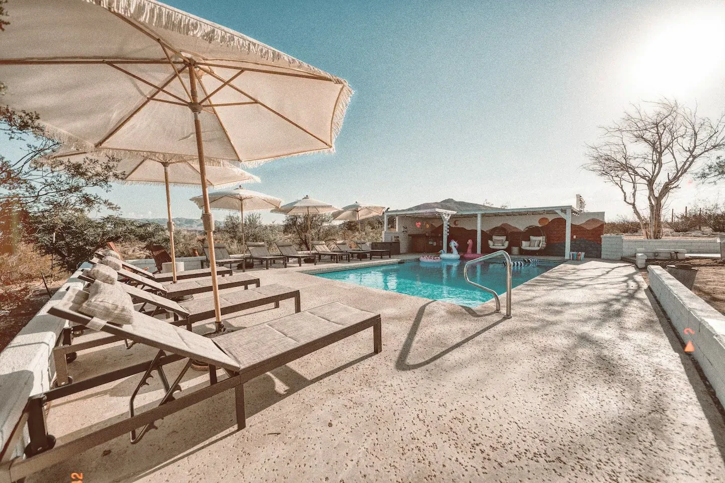 Inirly Joshua Tree_Pool.jpg