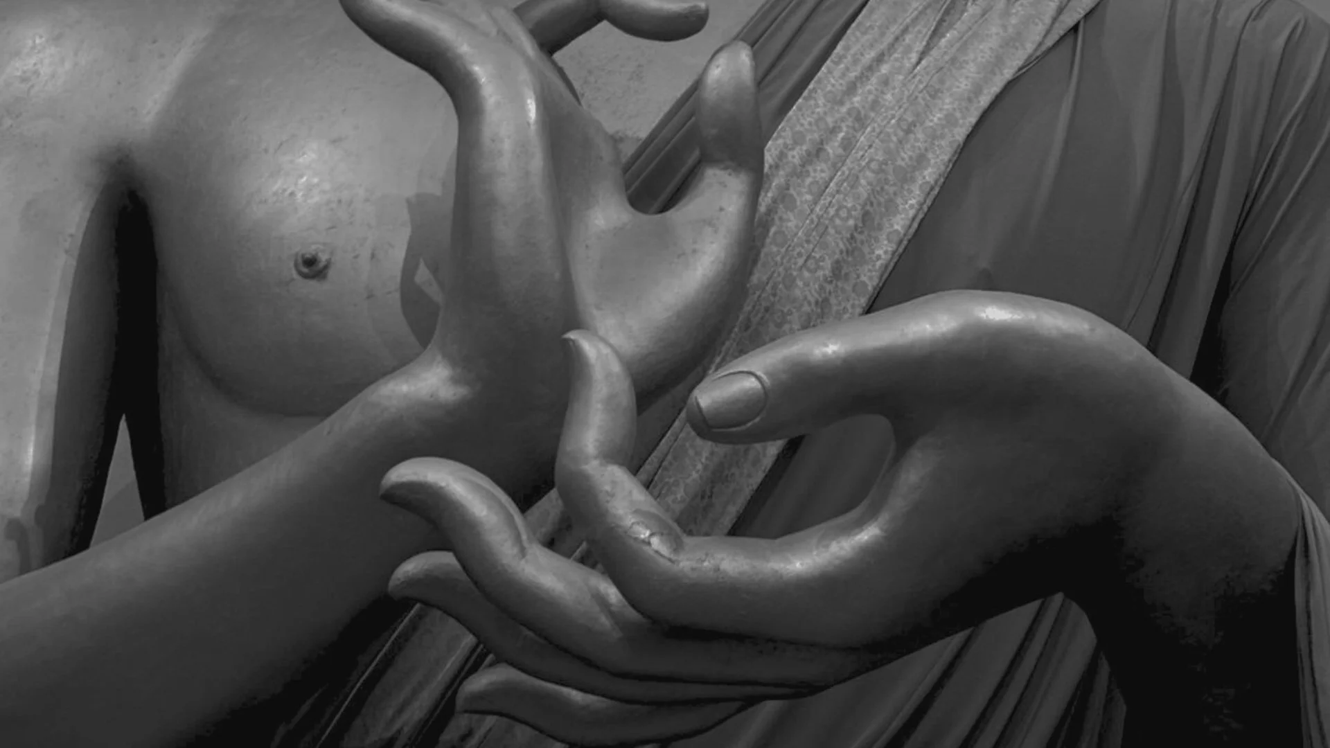 Newsletter headers (1).jpg