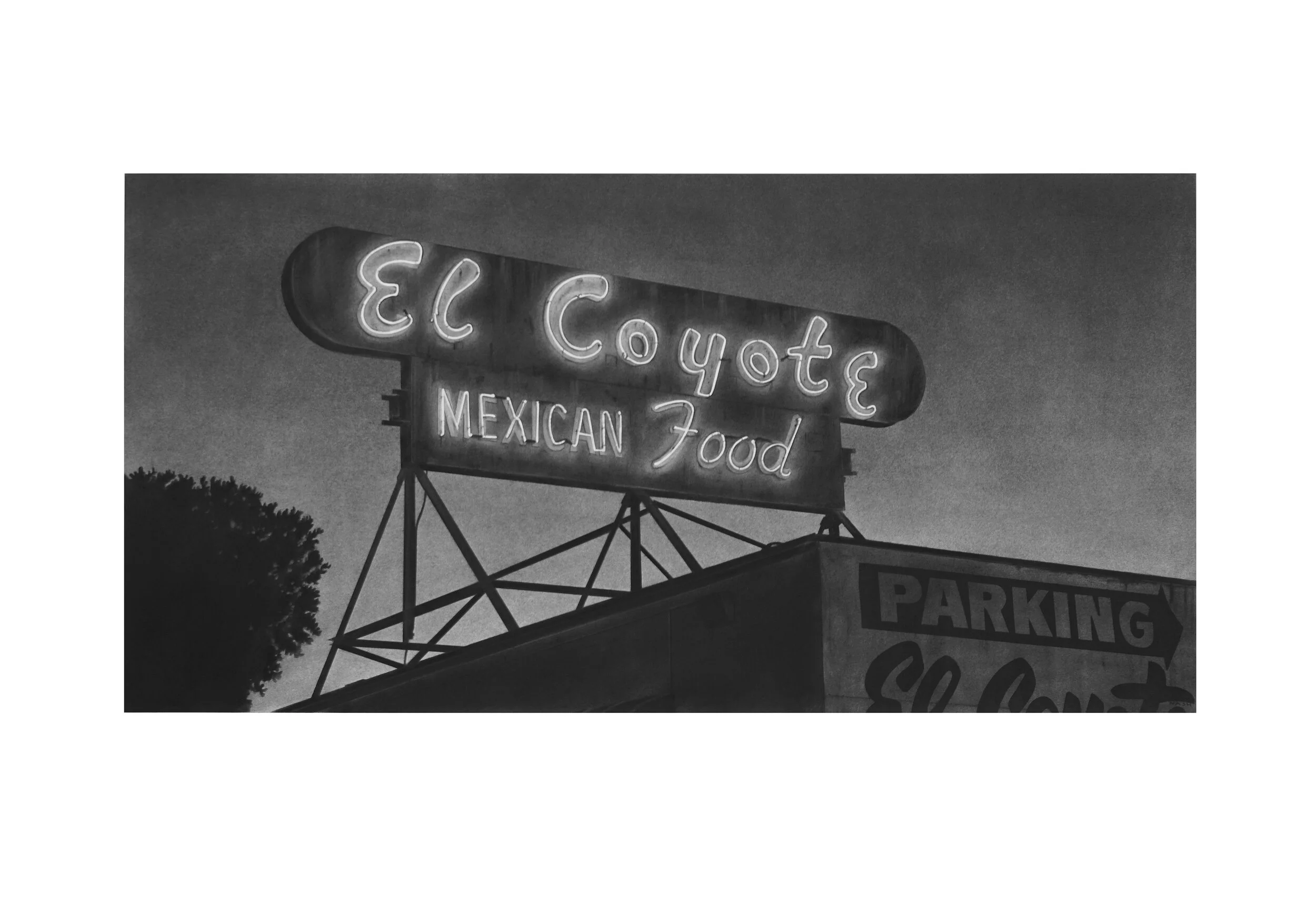   El Coyote   Charcoal on Paper / 30 x 44 in. / 2020  Private Collection 