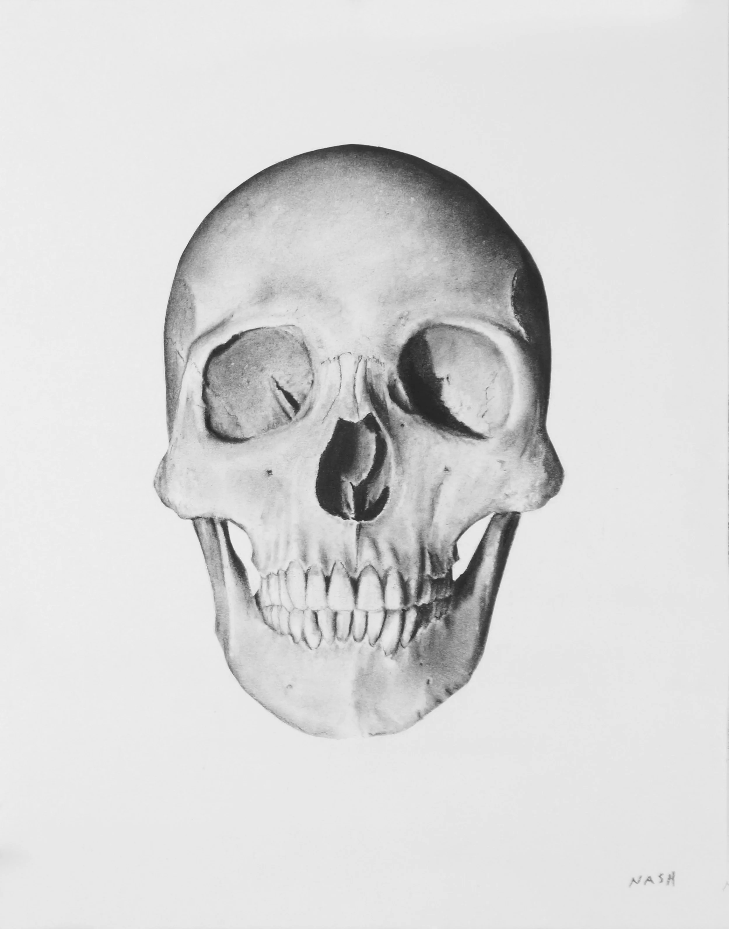   MEMENTO MORI II   Charcoal on Paper / 10 x 15 in. / 2021  Private Collection 