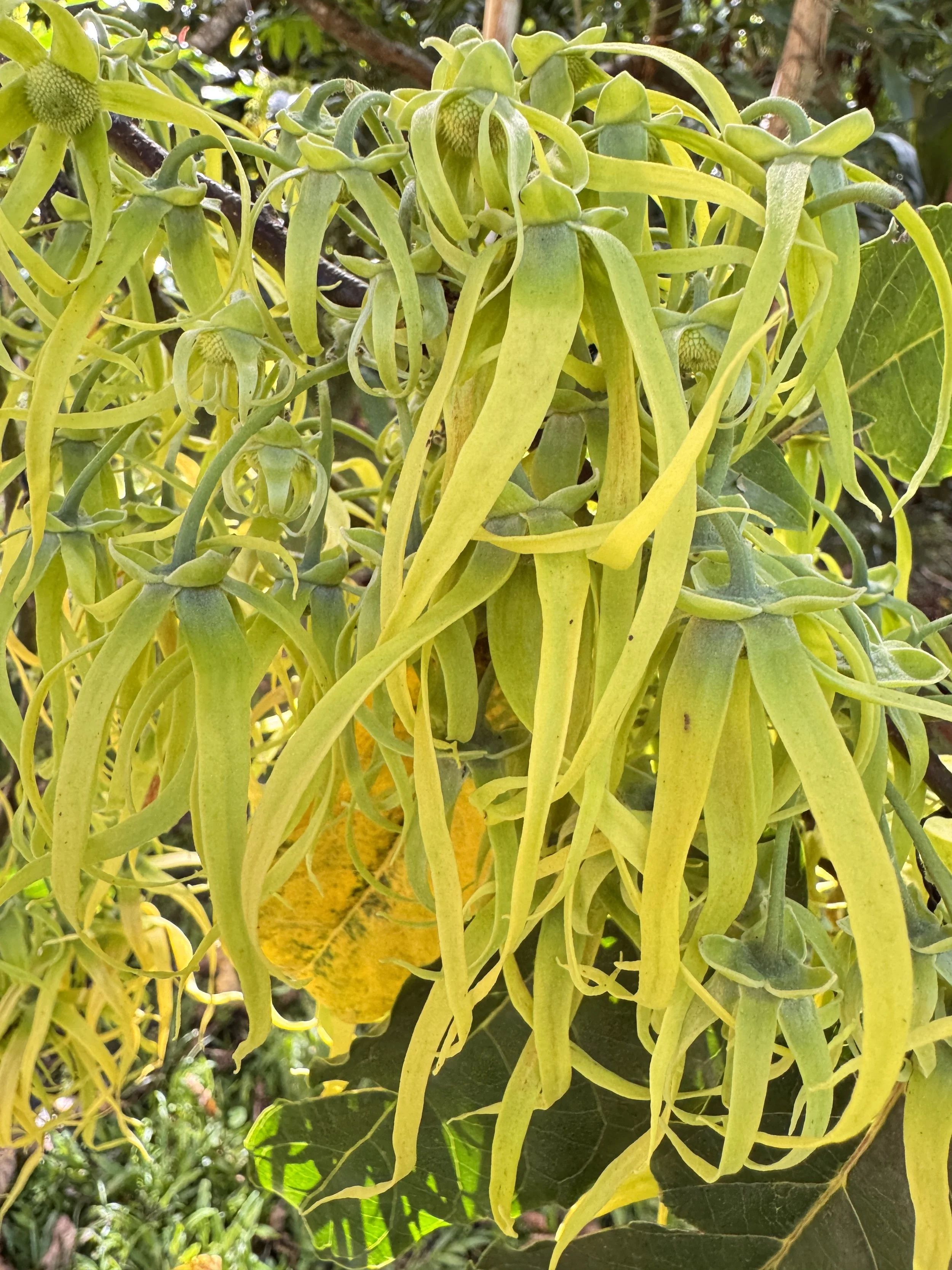  Form: Between Worlds