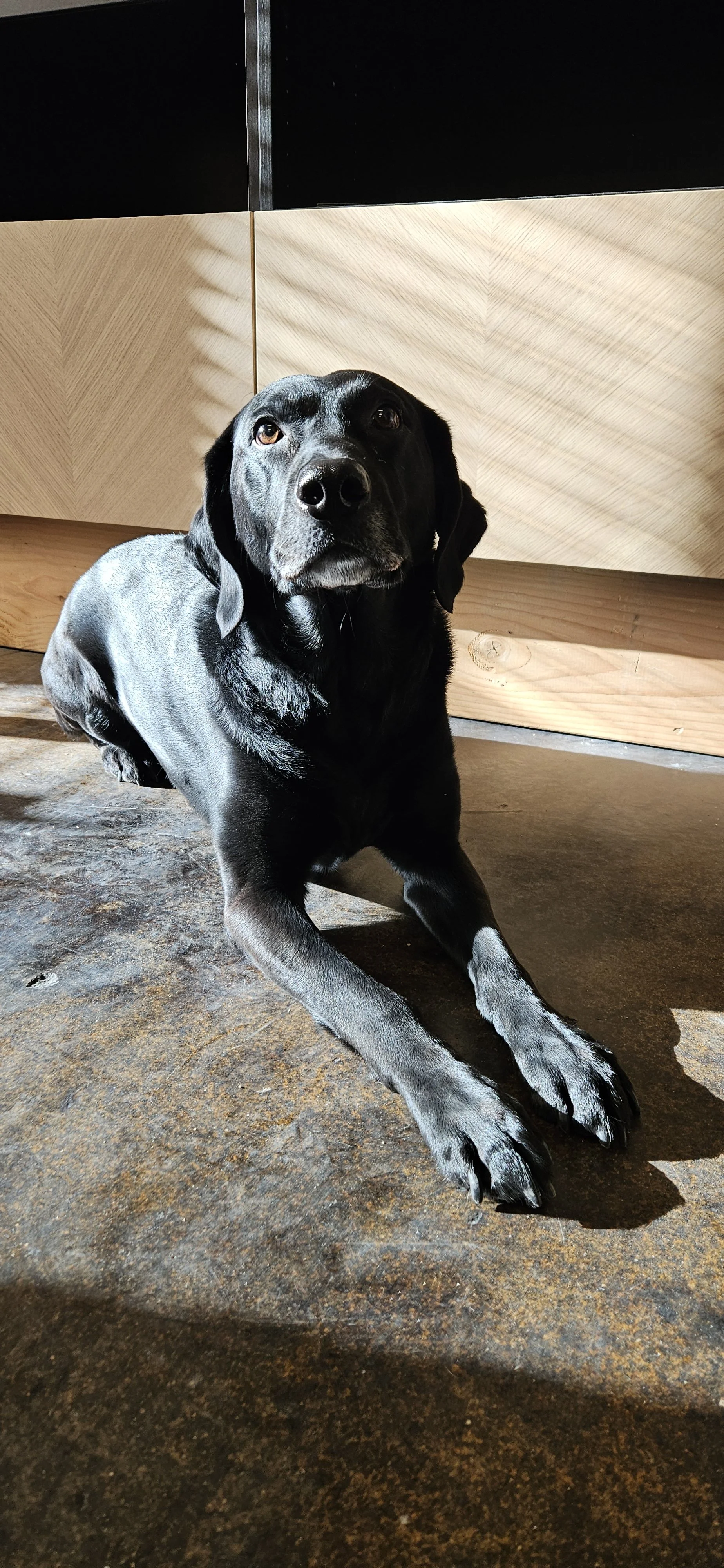 RZA Office Human Resources