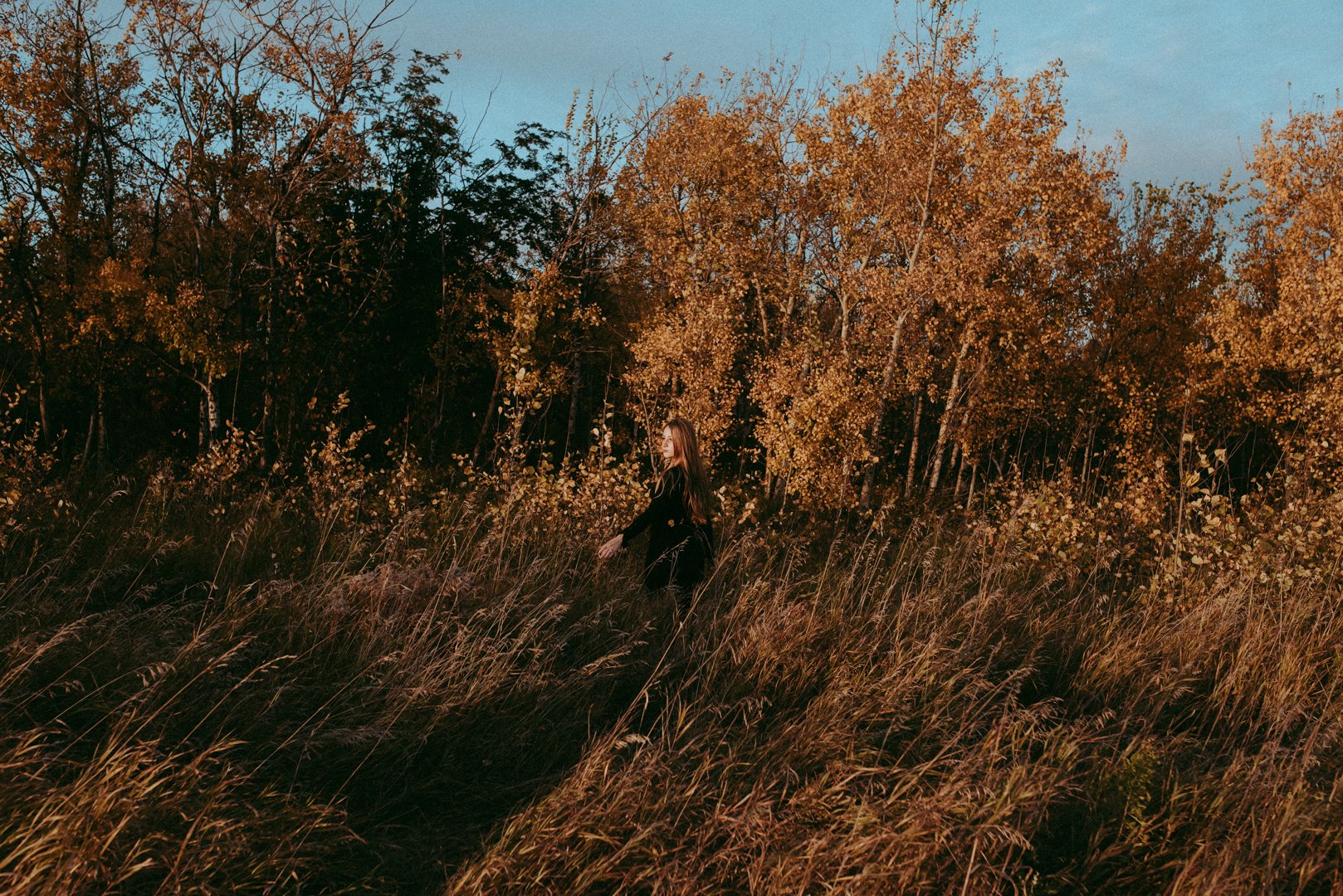 St. Albert Portrait Photographer, Fall Colours