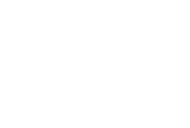 MESSIER NYC