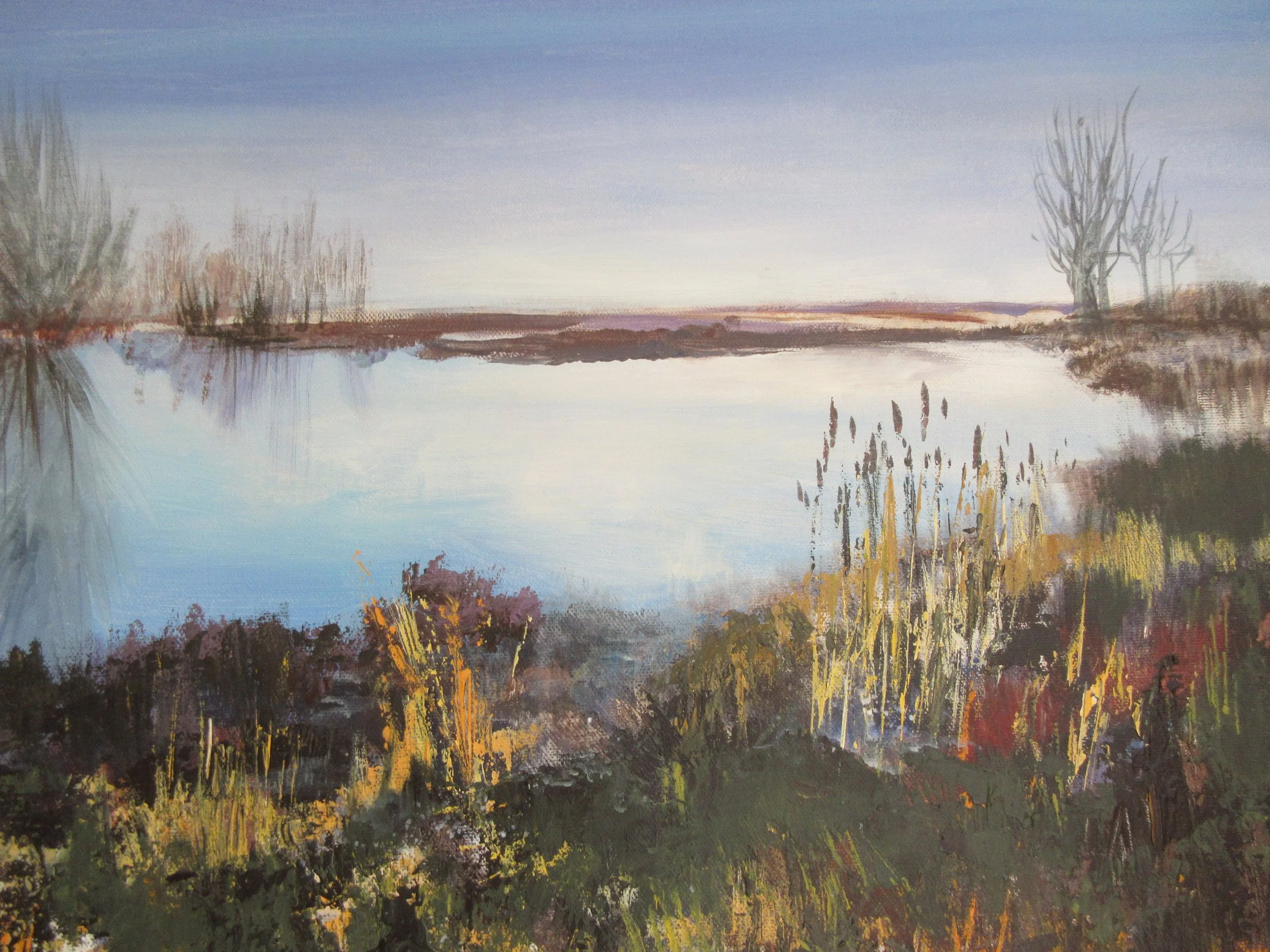 lake at Monk's wood.JPG