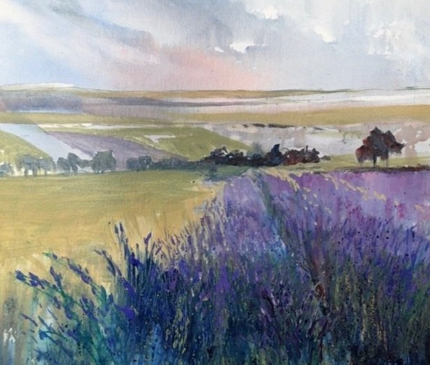 Lavender+fields.jpg