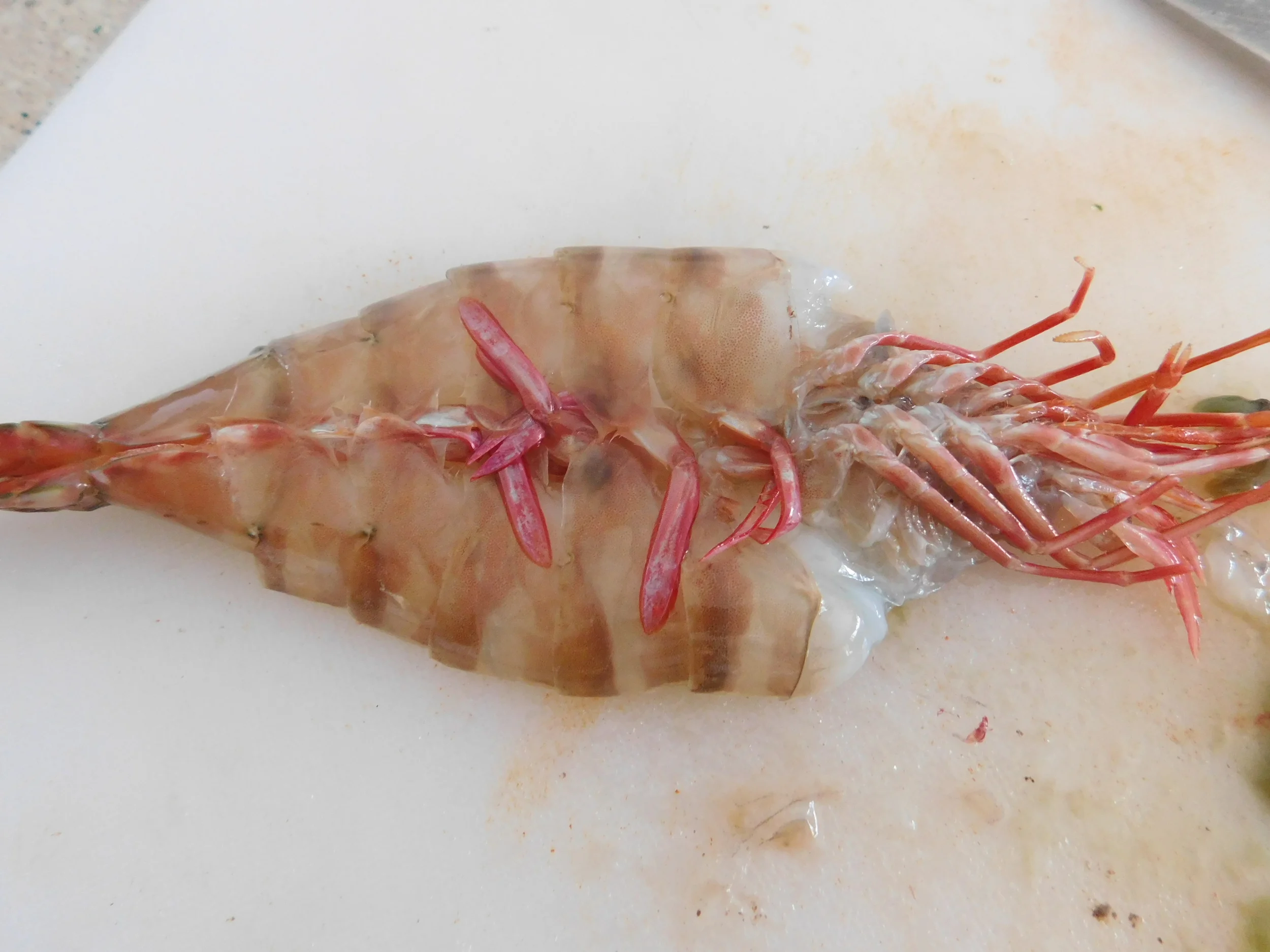 All Time Favourite Prawns Bait To Plate