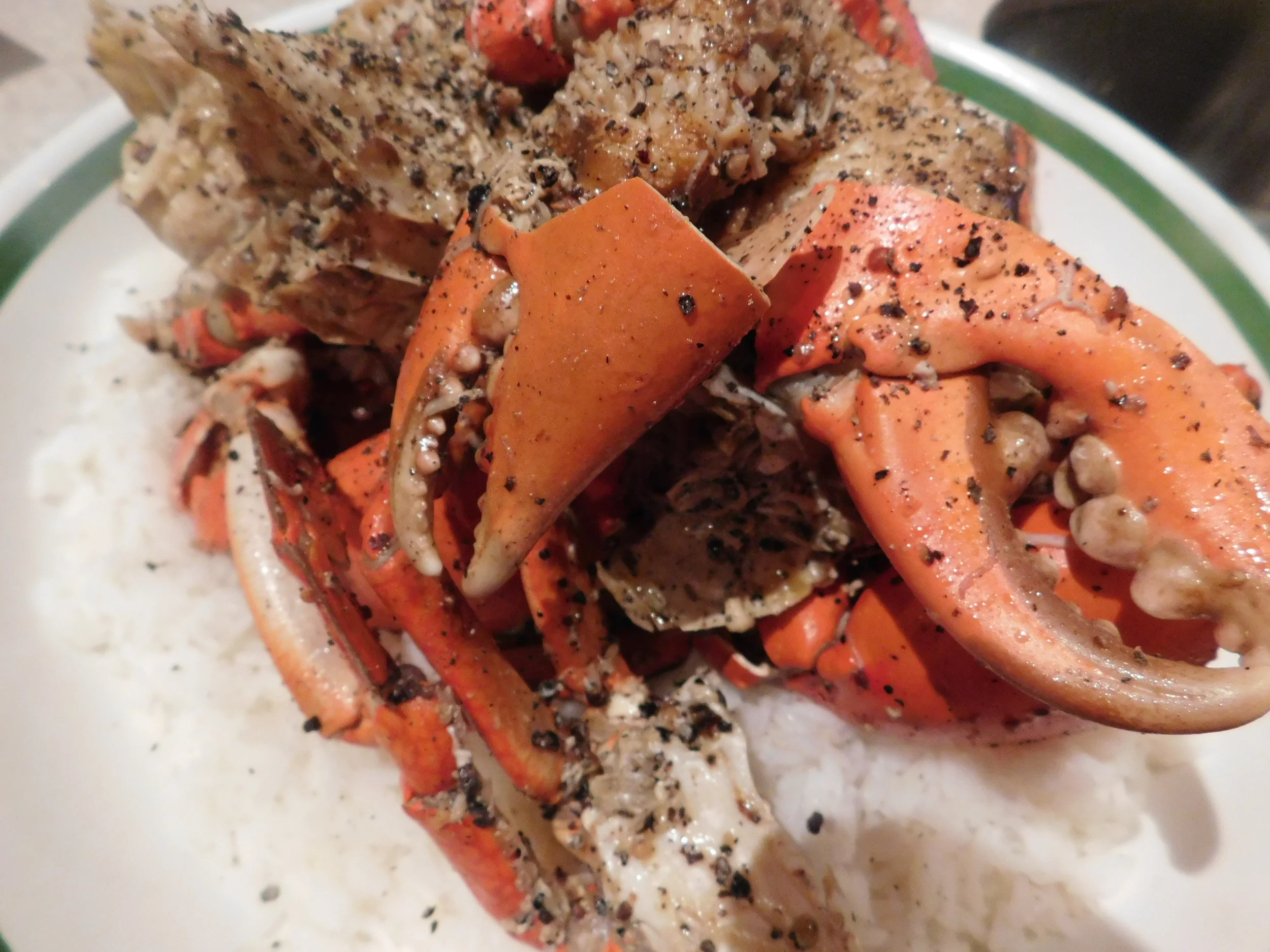 Barra season 037.JPG