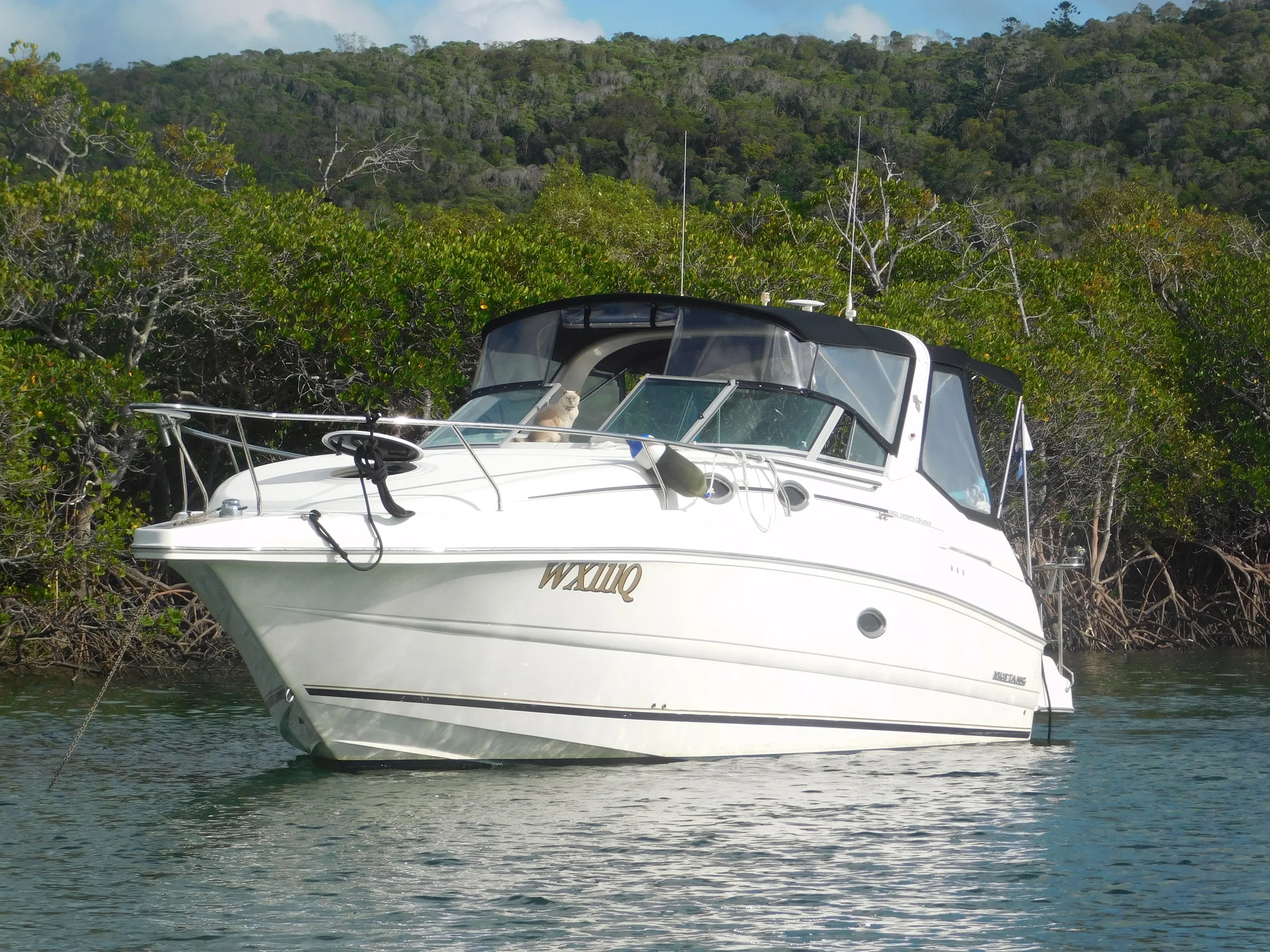 Hill Inlet 044.JPG