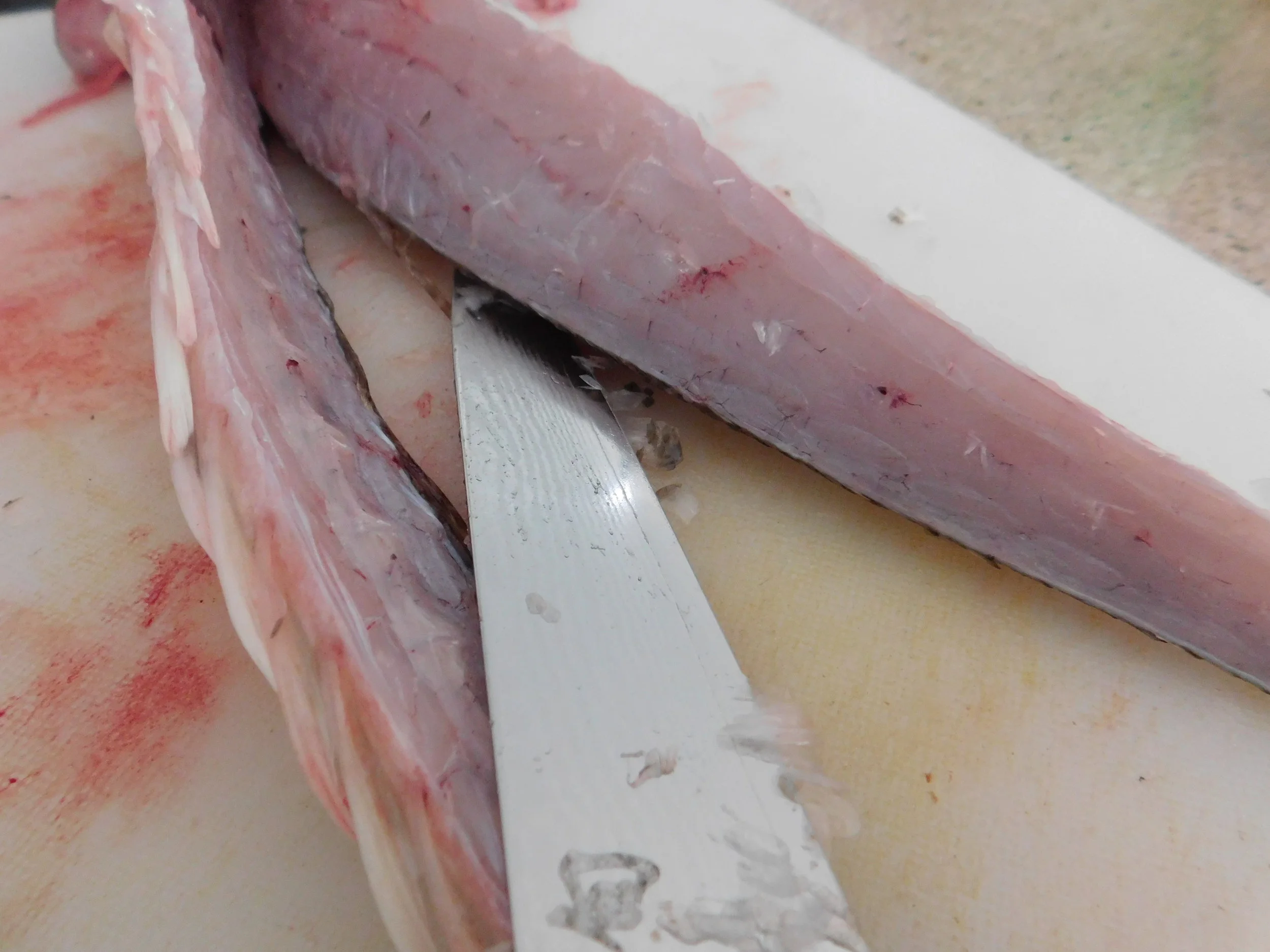 Flathead fish & Chips 007.JPG