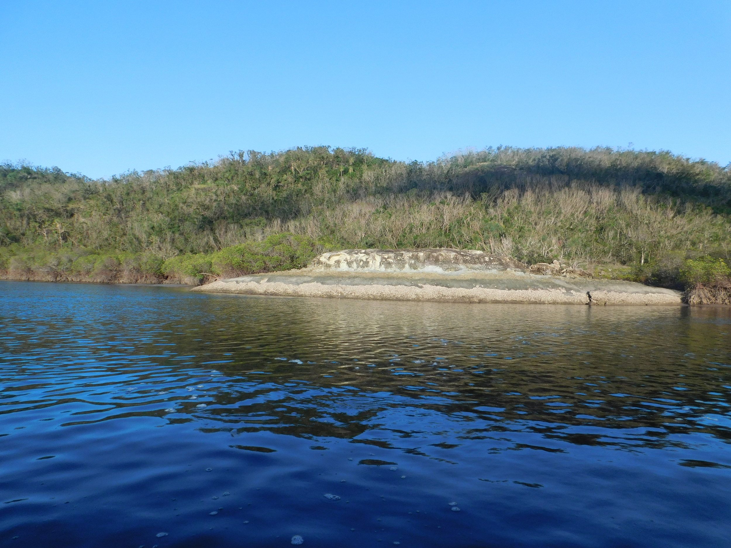 Jewies and moon 026.JPG