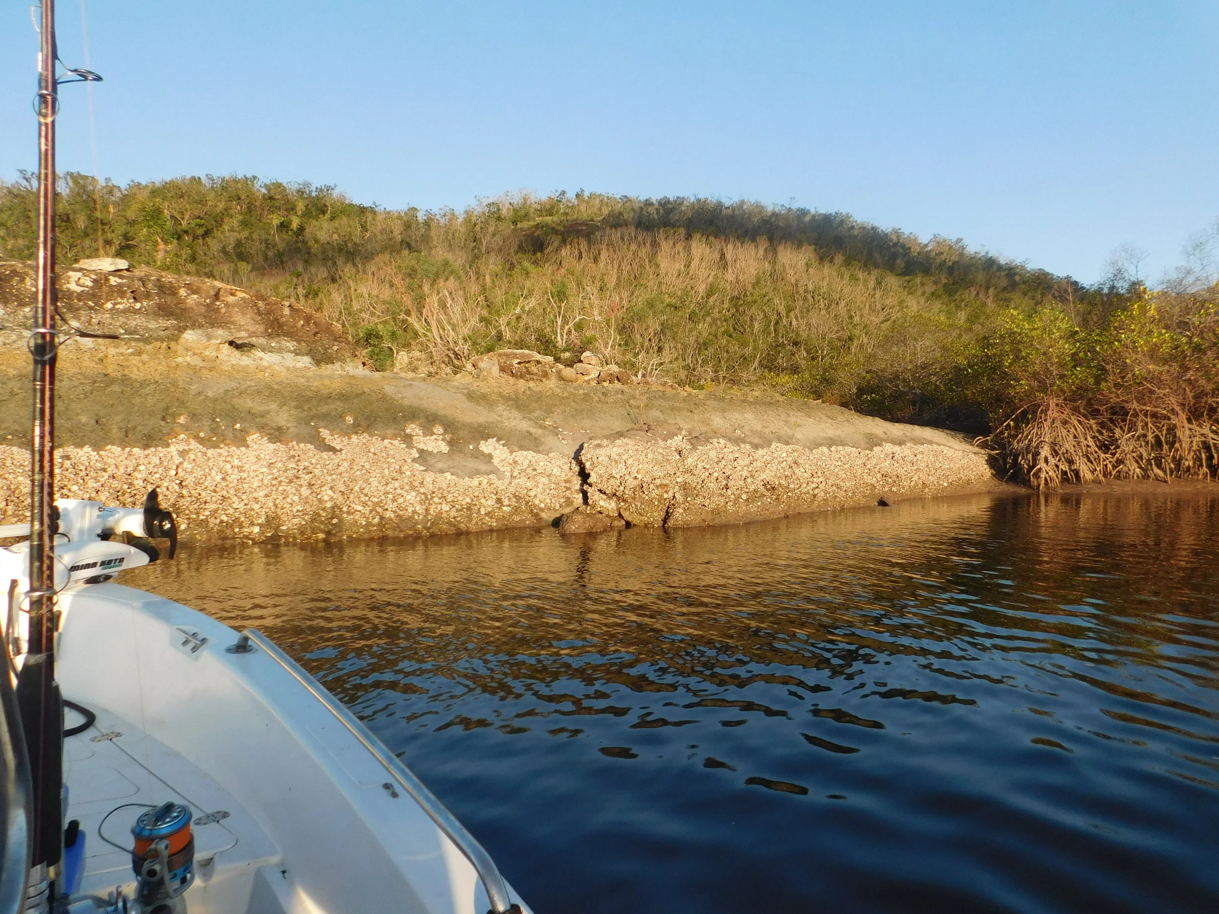 Jewies and moon 028.JPG