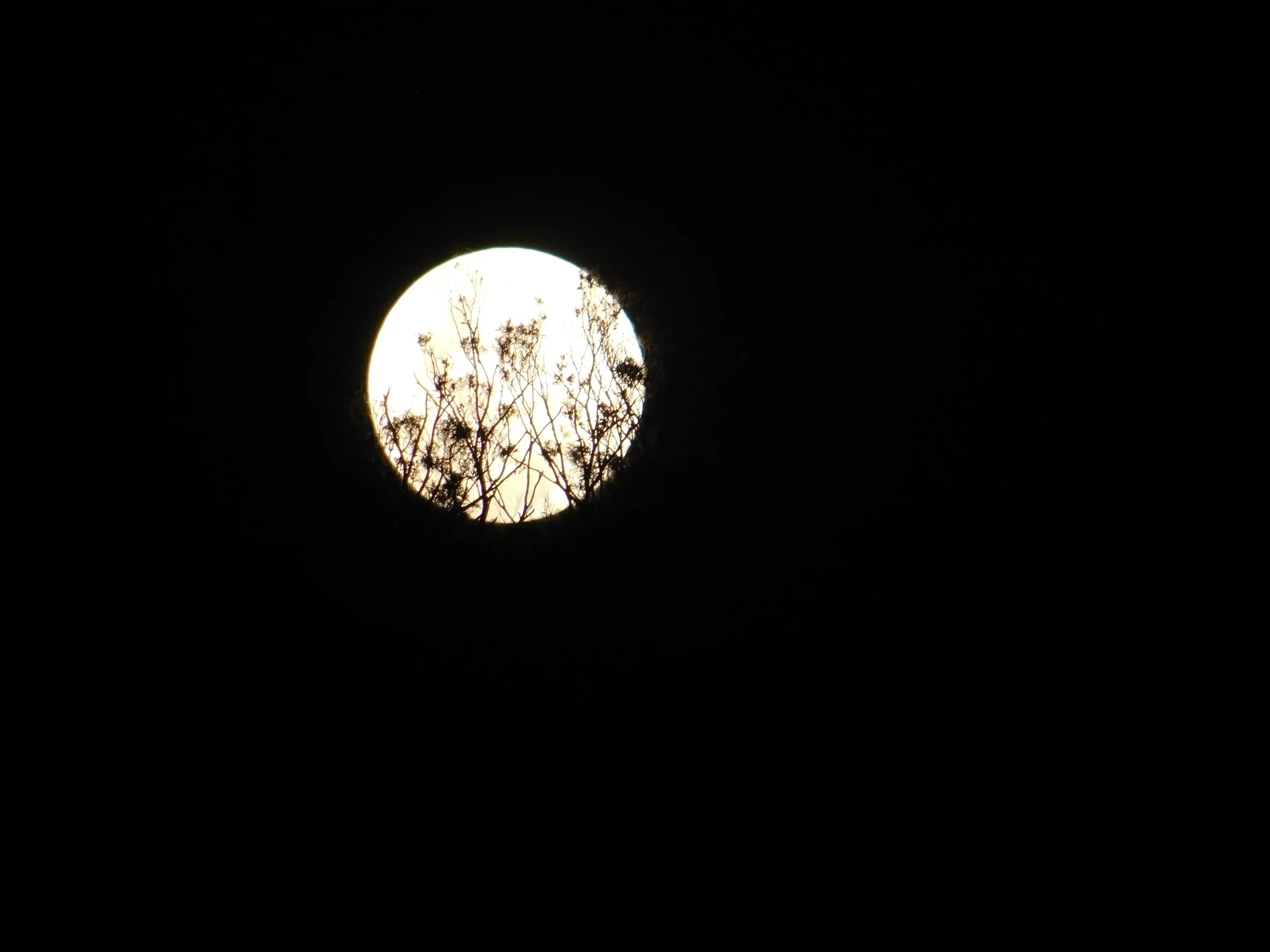 Jewies and moon 048.JPG
